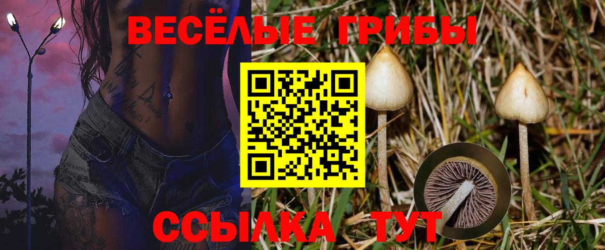 Псилоцибиновые грибы MAGIC MUSHROOMS Новоалександровск
