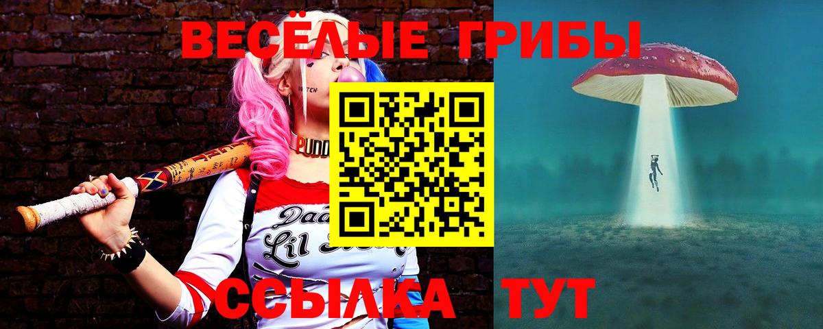 Псилоцибиновые грибы GOLDEN TEACHER  Вход с VPN  закладки  Новоалександровск 