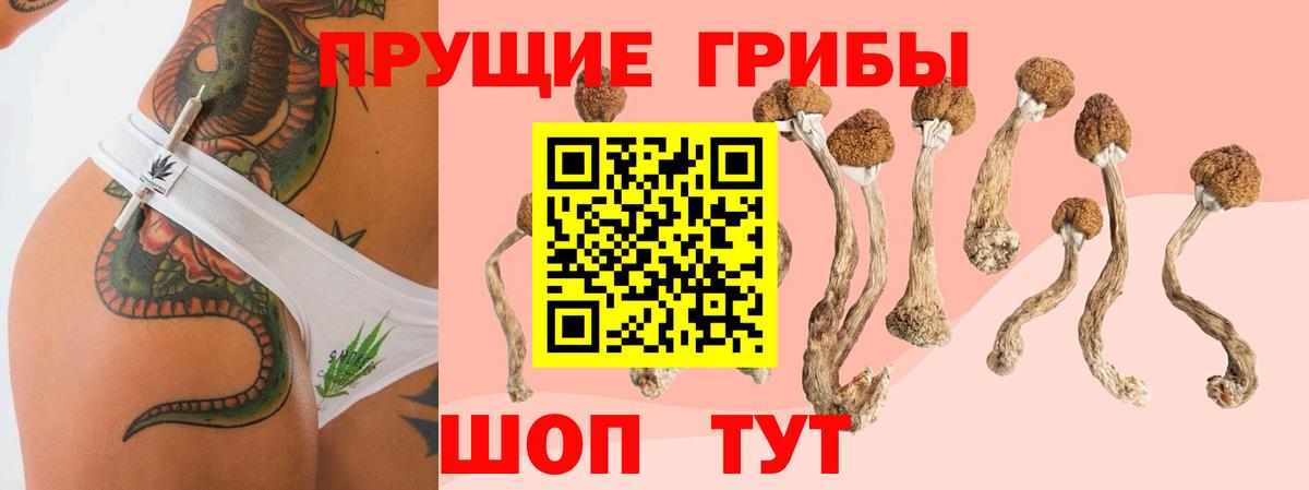 Бошки Шишки  Новоалександровск  МЕФ кристаллы  КОКАИН  ГАШИШ  Вход с VPN 